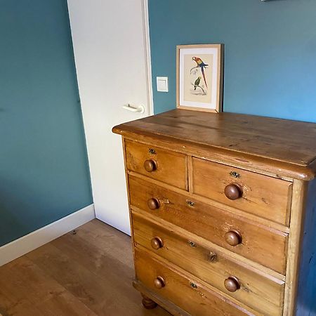 Ecolodge Appartements 2 Pieces Cosy Gare Bordeaux Buitenkant foto